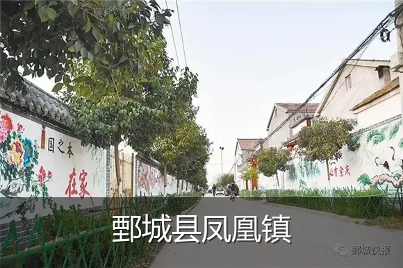 鄄城县凤凰镇