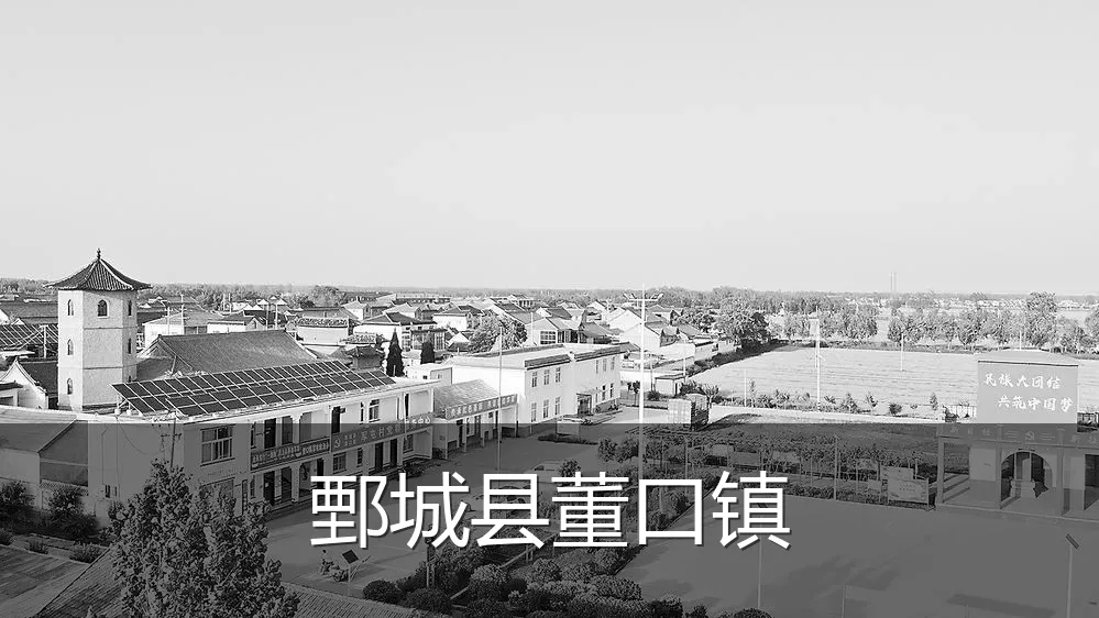 鄄城县董口镇